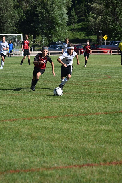 下一站在哪 下一站在哪