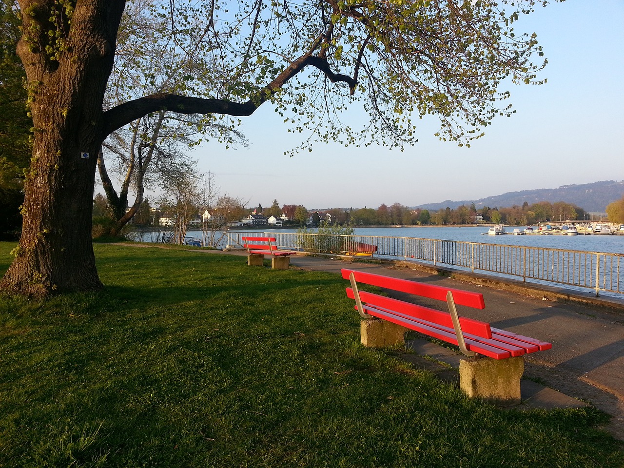 的生命力和 的生命力和