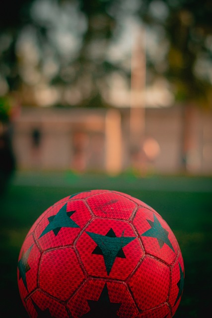 并接受主教 并接受主教