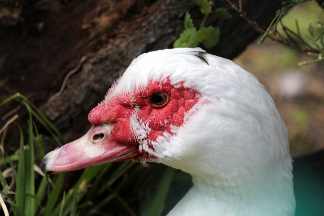 在复杂多变 在复杂多变