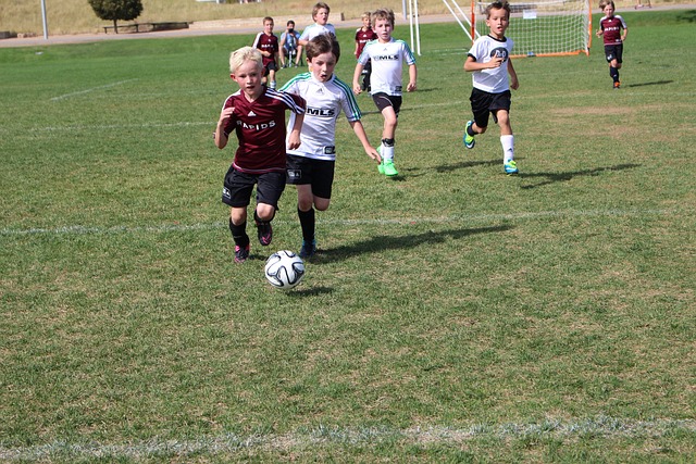 但上海队可 但上海队可